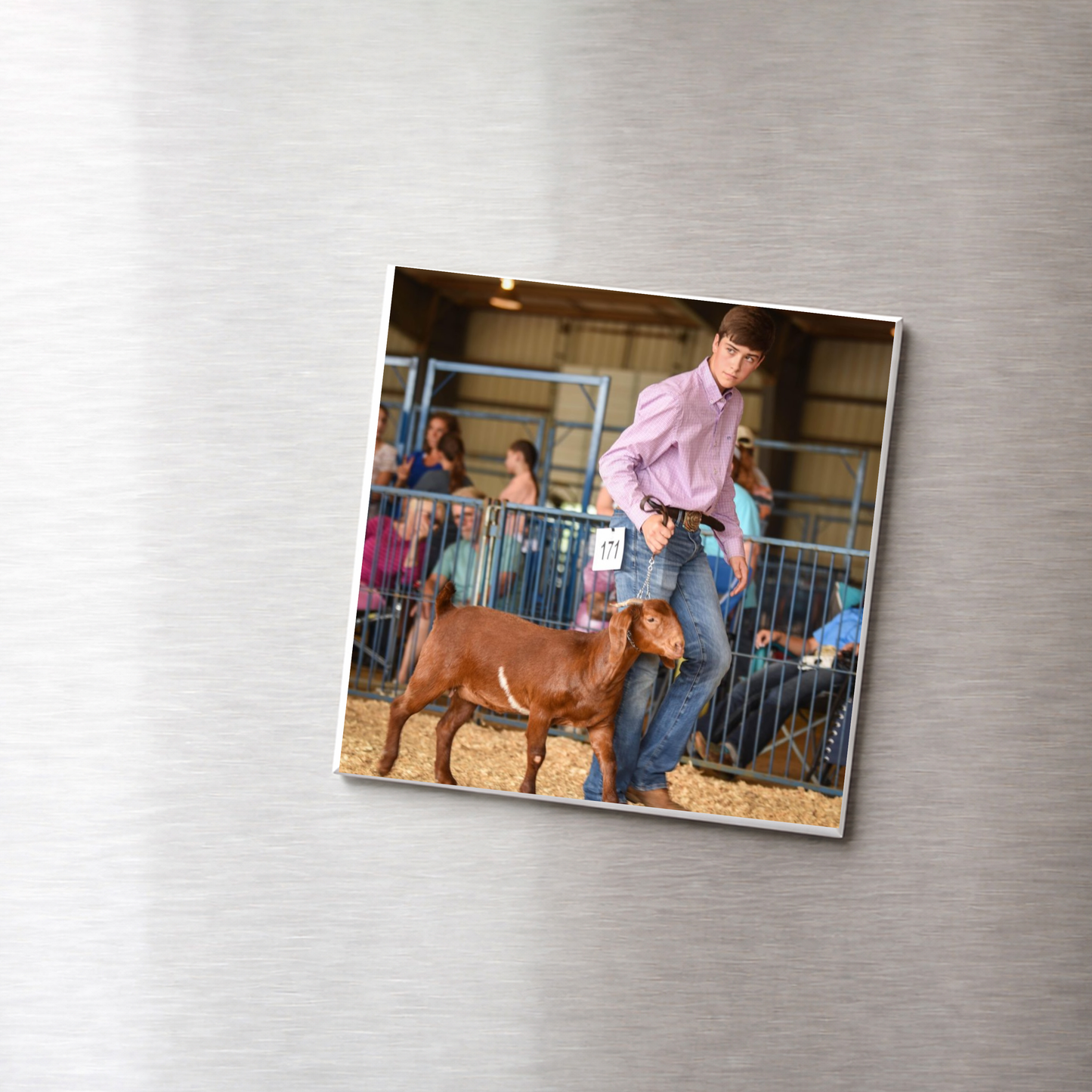 Custom 4-H Memories Photo Magnets