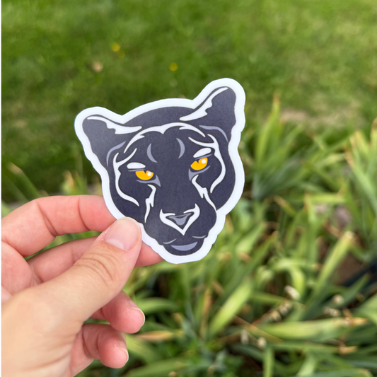 Davis Spirit Stickers