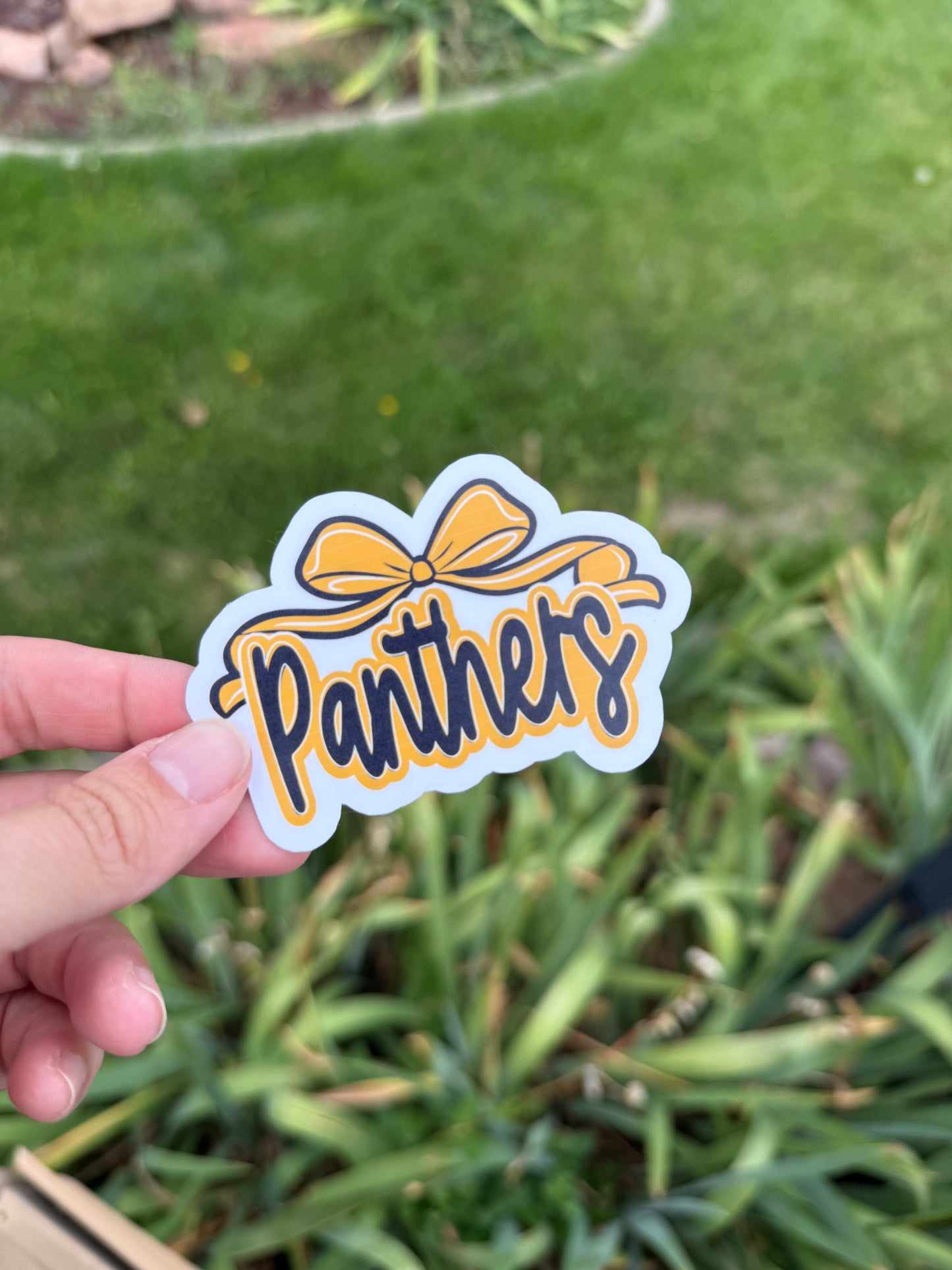 Davis Spirit Stickers