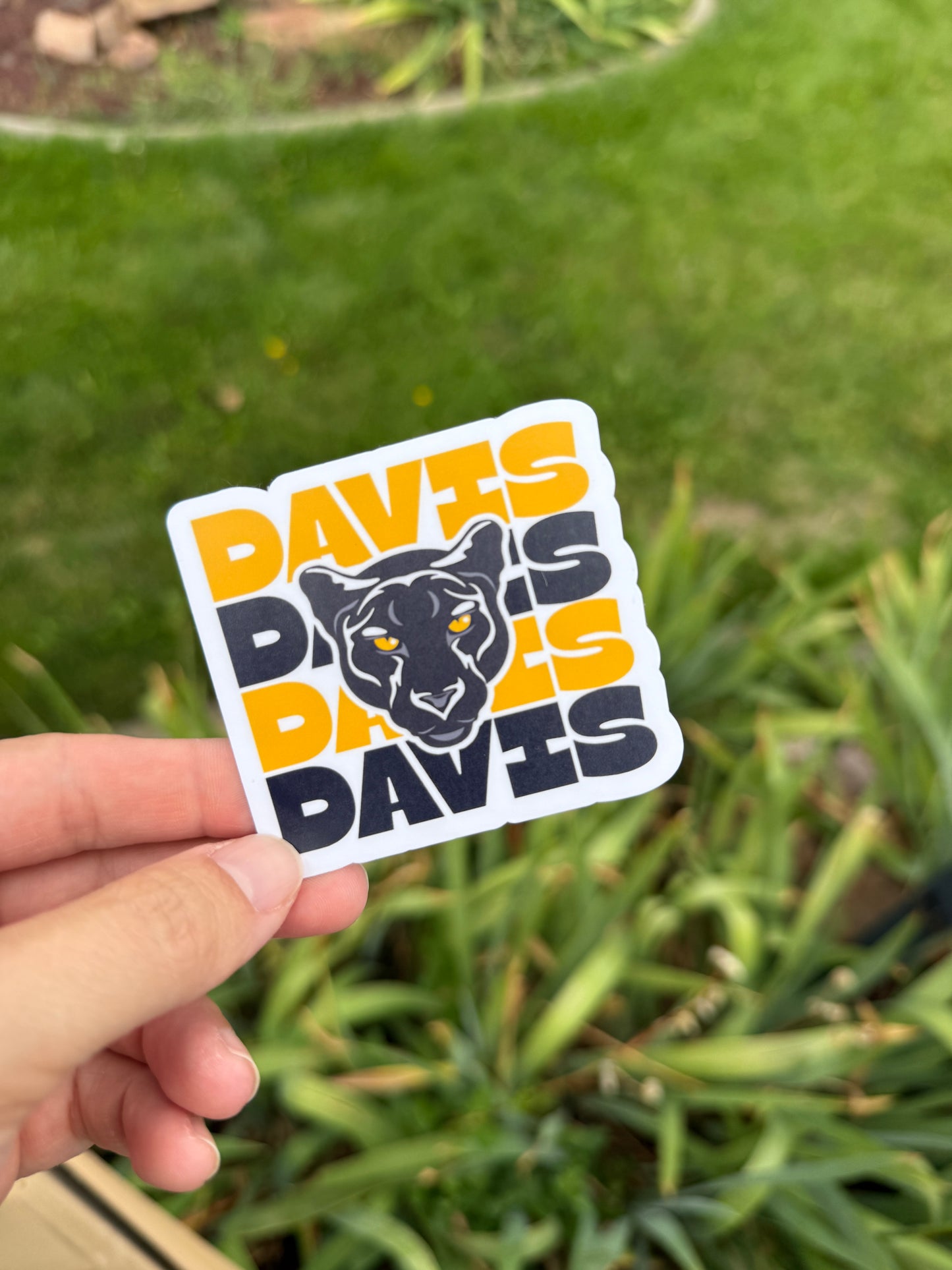 Davis Spirit Stickers