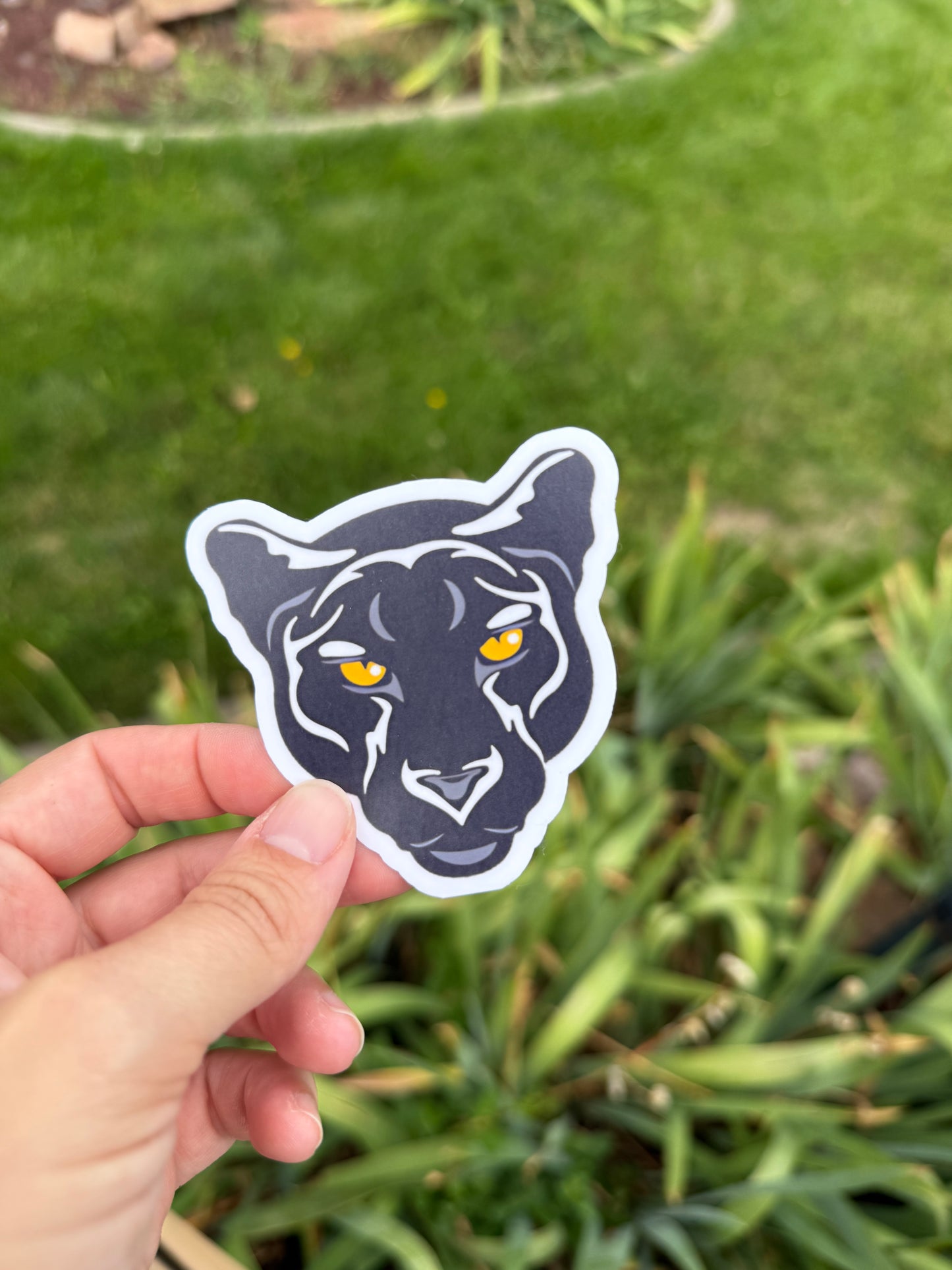 Davis Spirit Stickers